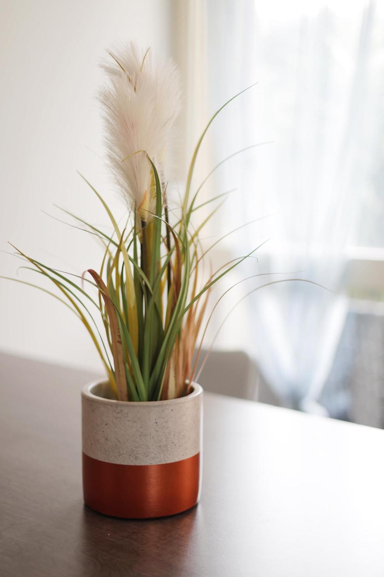 Appartement Familial Avec Jardin Ensoleille Dans La Cite Des Potiers ヴァロリス エクステリア 写真