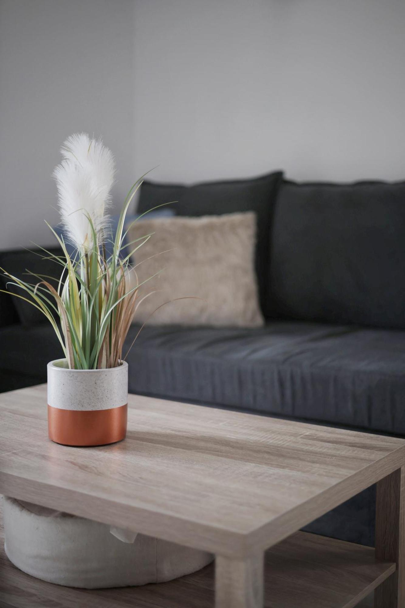 Appartement Familial Avec Jardin Ensoleille Dans La Cite Des Potiers ヴァロリス エクステリア 写真